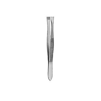 Cilia Forceps